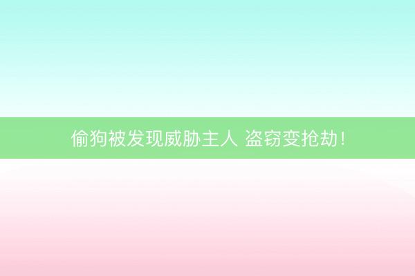 偷狗被发现威胁主人 盗窃变抢劫！