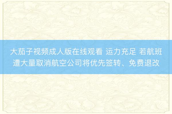大茄子视频成人版在线观看 运力充足 若航班遭大量取消航空公司将优先签转、免费退改