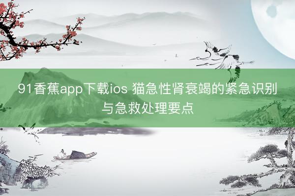 91香蕉app下载ios 猫急性肾衰竭的紧急识别与急救处理要点