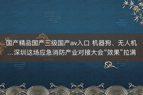 国产精品国产三级国产av入口 机器狗、无人机…深圳这场应急消防产业对接大会“效果”拉满