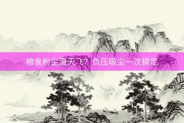 粮食粉尘漫天飞？负压吸尘一次搞定