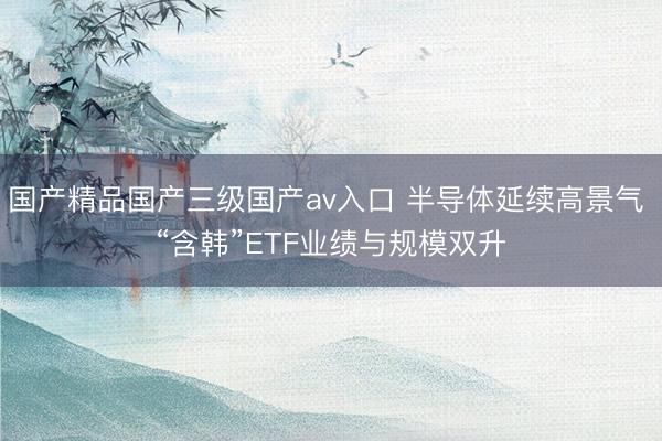 国产精品国产三级国产av入口 半导体延续高景气 “含韩”ETF业绩与规模双升