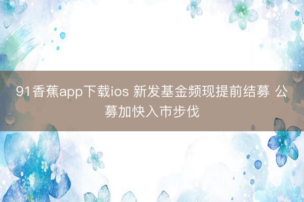 91香蕉app下载ios 新发基金频现提前结募 公募加快入市步伐