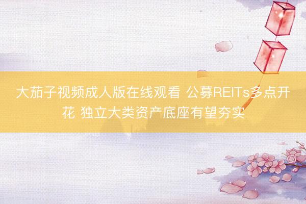 大茄子视频成人版在线观看 公募REITs多点开花 独立大类资产底座有望夯实