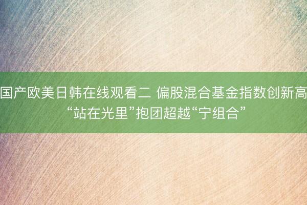国产欧美日韩在线观看二 偏股混合基金指数创新高 “站在光里”抱团超越“宁组合”