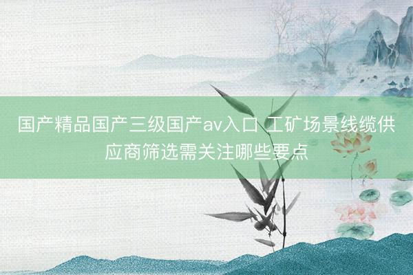 国产精品国产三级国产av入口 工矿场景线缆供应商筛选需关注哪些要点
