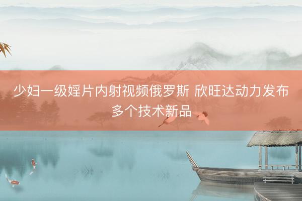 少妇一级婬片内射视频俄罗斯 欣旺达动力发布多个技术新品