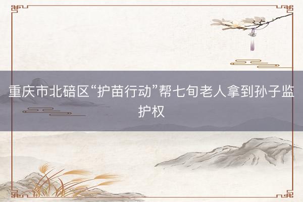 重庆市北碚区“护苗行动”帮七旬老人拿到孙子监护权