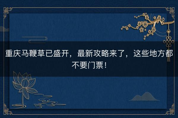 重庆马鞭草已盛开，最新攻略来了，这些地方都不要门票！