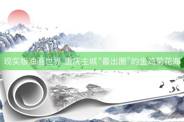 现实版油画世界 重庆主城“最出圈”的金鸡菊花海