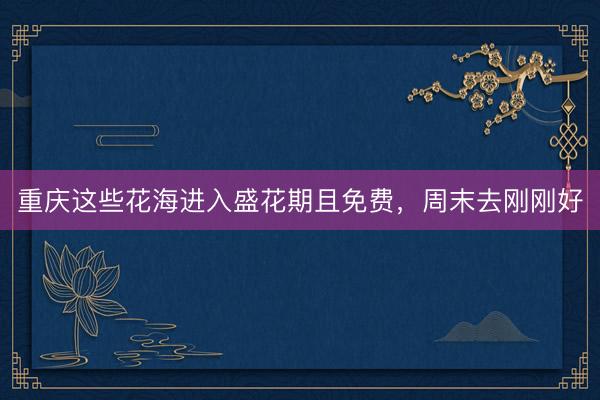 重庆这些花海进入盛花期且免费，周末去刚刚好