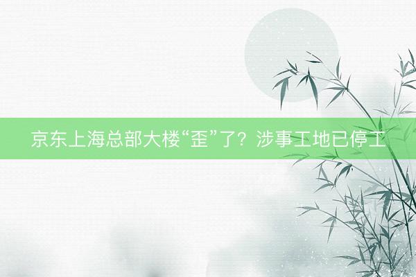 京东上海总部大楼“歪”了？涉事工地已停工