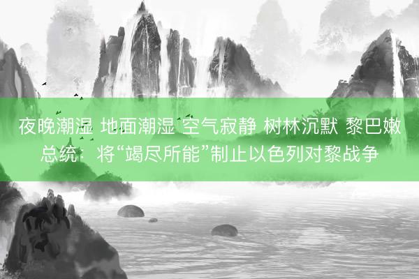 夜晚潮湿 地面潮湿 空气寂静 树林沉默 黎巴嫩总统：将“竭尽所能”制止以色列对黎战争