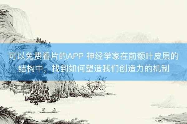 可以免费看片的APP 神经学家在前额叶皮层的结构中，找到如何塑造我们创造力的机制