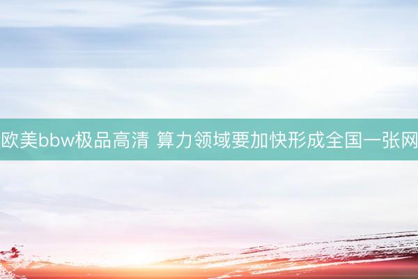 欧美bbw极品高清 算力领域要加快形成全国一张网