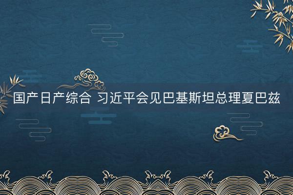 国产日产综合 习近平会见巴基斯坦总理夏巴兹