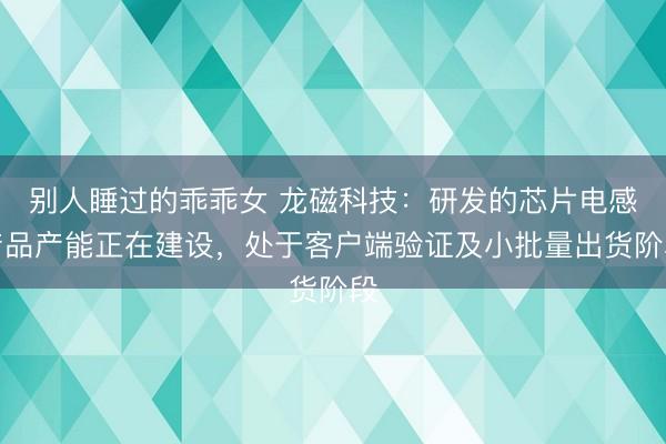 别人睡过的乖乖女 龙磁科技:研发的芯片电感产品产能正在建设,处于客户端验证及小批量出货阶段