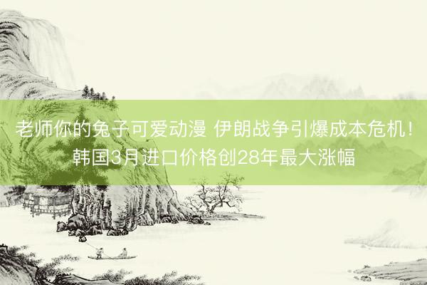 老师你的兔子可爱动漫 伊朗战争引爆成本危机！韩国3月进口价格创28年最大涨幅