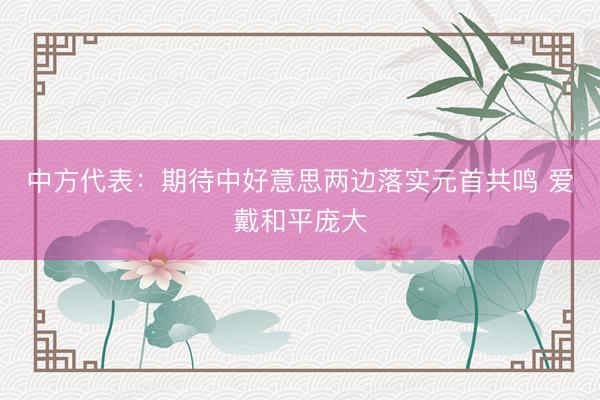 中方代表：期待中好意思两边落实元首共鸣 爱戴和平庞大