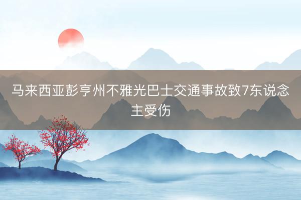 马来西亚彭亨州不雅光巴士交通事故致7东说念主受伤