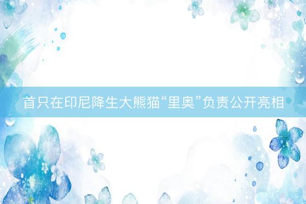 首只在印尼降生大熊猫“里奥”负责公开亮相