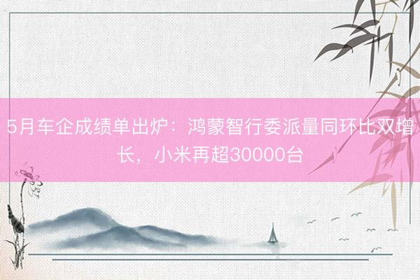 5月车企成绩单出炉：鸿蒙智行委派量同环比双增长，小米再超30000台