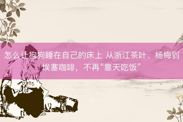 怎么让狗狗睡在自己的床上 从浙江茶叶、杨梅到埃塞咖啡，不再“靠天吃饭”