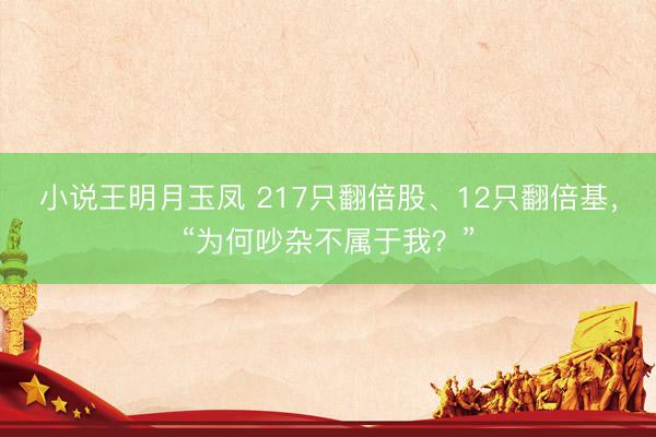 小说王明月玉凤 217只翻倍股、12只翻倍基，“为何吵杂不属于我？”