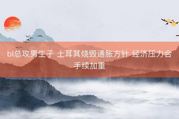 bl总攻男生子 土耳其烧毁通胀方针 经济压力合手续加重