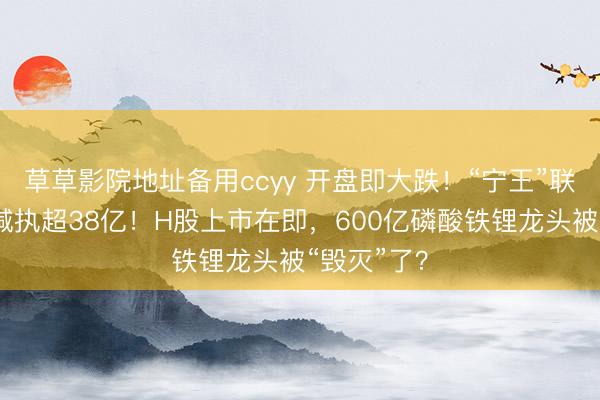 草草影院地址备用ccyy 开盘即大跌!“宁王”联手二股东减执超38亿!H股上市在即,600亿磷酸铁锂龙头被“毁灭”了?