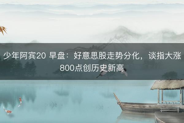 少年阿宾20 早盘：好意思股走势分化，谈指大涨800点创历史新高