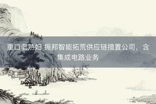 重口老熟妇 振邦智能拓荒供应链措置公司，含集成电路业务