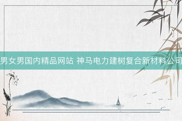 男女男国内精品网站 神马电力建树复合新材料公司
