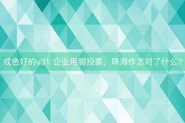 成色好的y31 企业用脚投票，珠海作念对了什么？