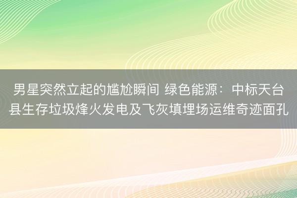 男星突然立起的尴尬瞬间 绿色能源：中标天台县生存垃圾烽火发电及飞灰填埋场运维奇迹面孔