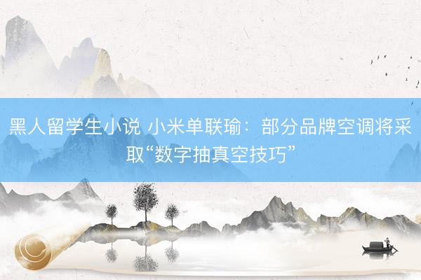 黑人留学生小说 小米单联瑜:部分品牌空调将采取“数字抽真空技巧”