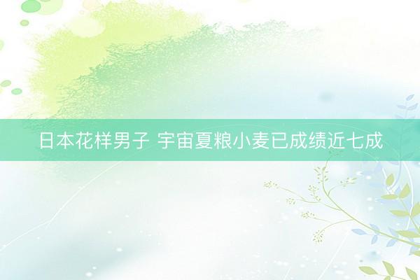 日本花样男子 宇宙夏粮小麦已成绩近七成