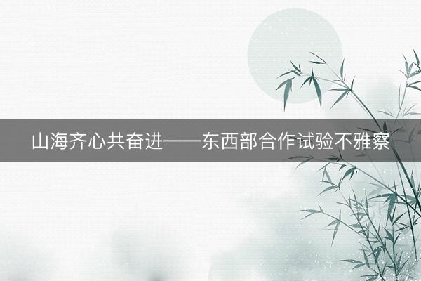 山海齐心共奋进——东西部合作试验不雅察